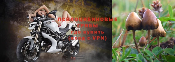 каннабис Протвино