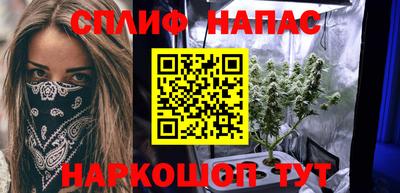 PSILOCYBIN Канаш